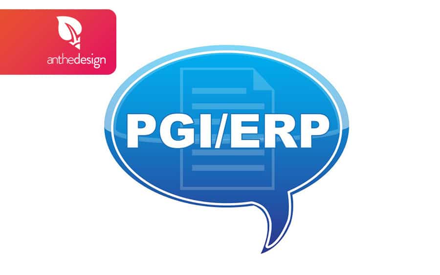 Progiciel De Gestion Integree Qu Est Ce Que C Est Anthedesign